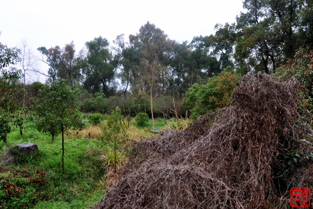 浙江母亲河钱塘江,浙江台州春风