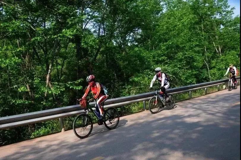 青白江十大健身地,青白江区体育锻炼的地方