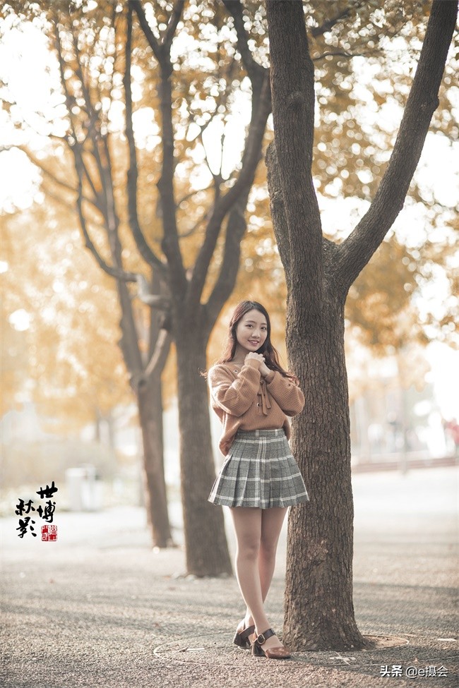 世博公园银杏林摄影照片,上海世博公园银杏最佳摄影机位