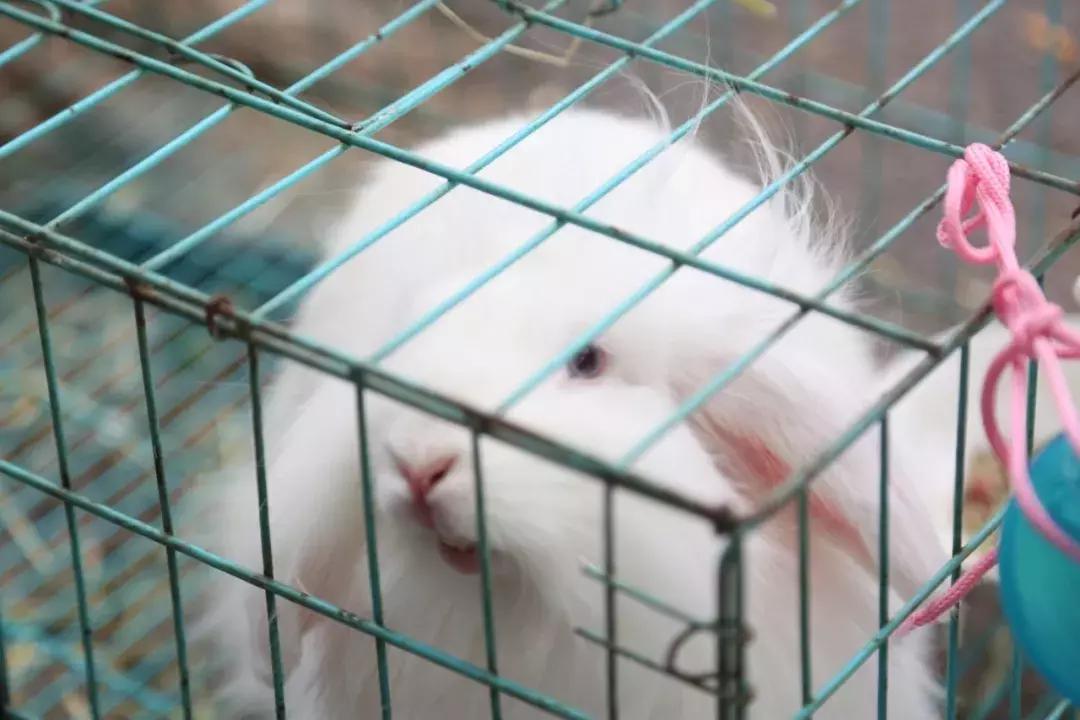 生活在济南城市怎么样才能快乐,生活在老城区的感受