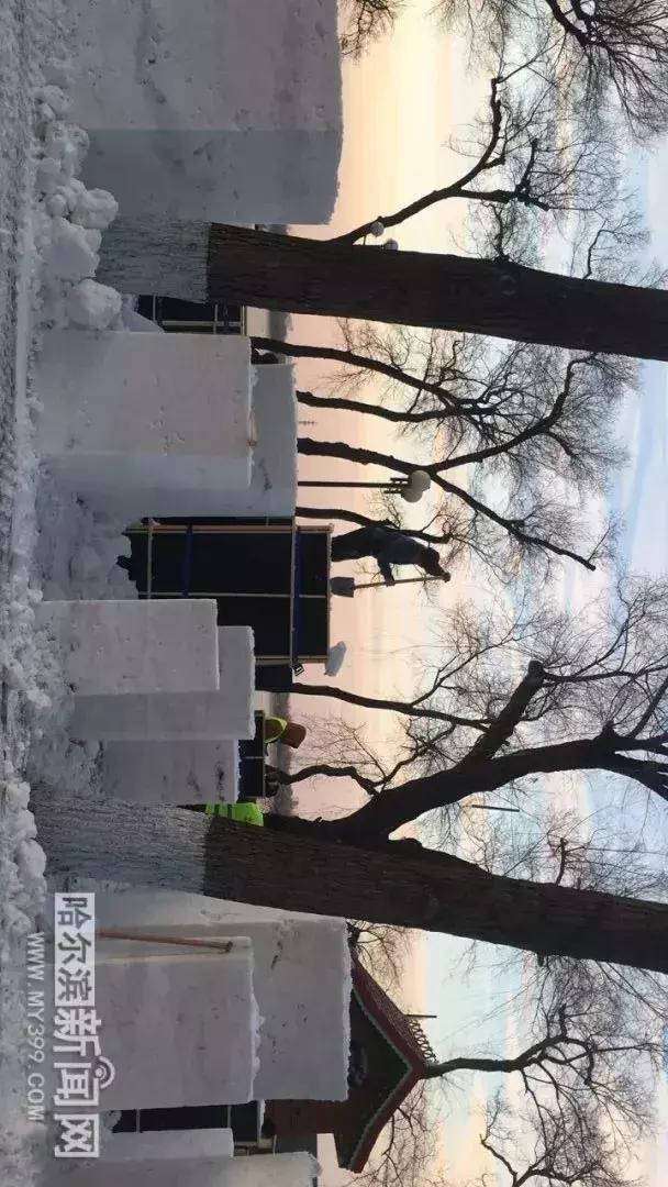 海王来了？！松花江上现奇观｜还要搞个大事情