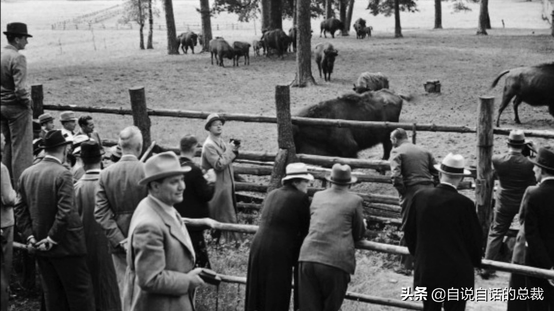 阿努纳奇创造人类7次文明,阿努纳奇人类起源