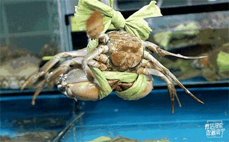 南宁吃螃蟹店推荐哪家,南宁十大蟹神店