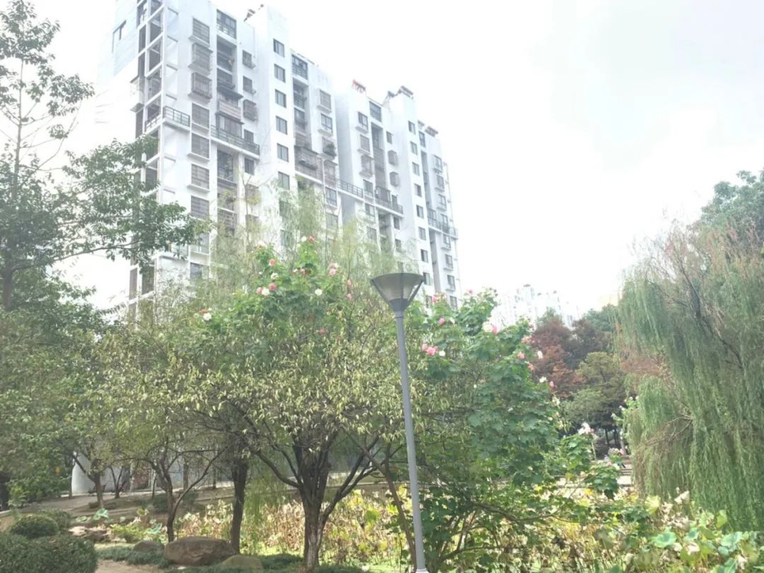 经开区安置房捡漏,经开区安置房最新消息