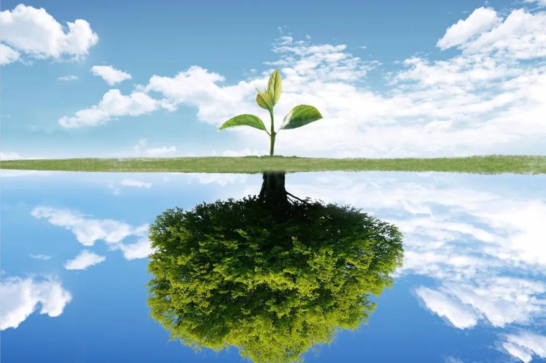 商业银行经营模式,数字金融浪潮下商业银行如何转型