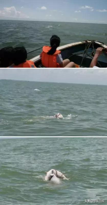 朋友圈最火的6张图片道破人性,朋友圈最火的4张图片道破人性