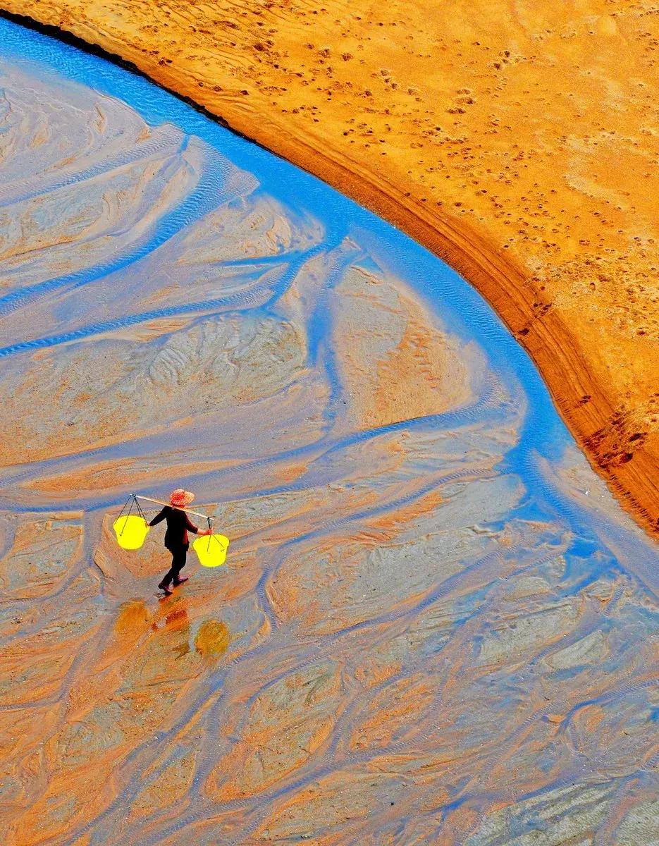 这么一片五彩滩涂奇幻仙境，超惊艳！在福建，厦门动车可以直达