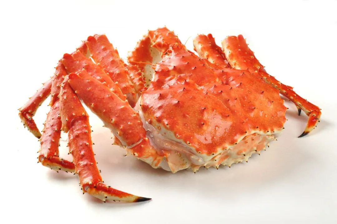 菜市场买了死螃蟹还能吃吗,超市买了冷冻活螃蟹死了能吃吗