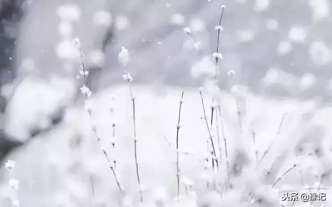 为啥人去世后，要有那么多繁琐的讲究？｜豫记