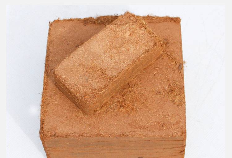 吸水树脂乌龟冬眠使用方法,乌龟冬眠换水的正确方法