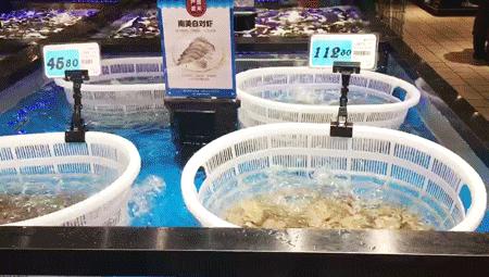 2万左右好物,2万精品好物