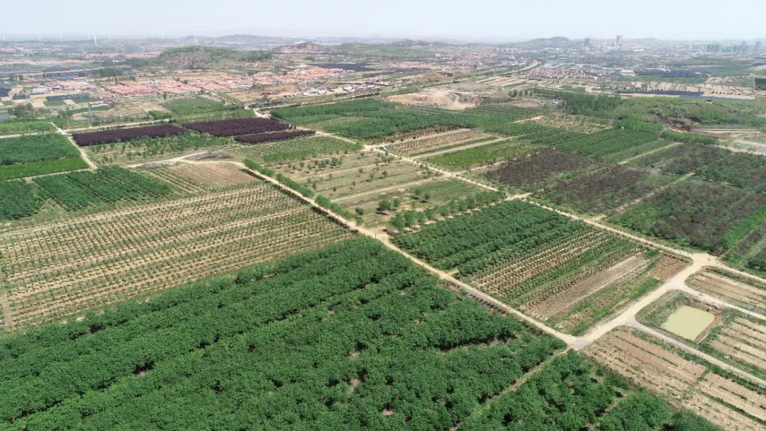 高质量发展项目清单,高质量发展项目汇报