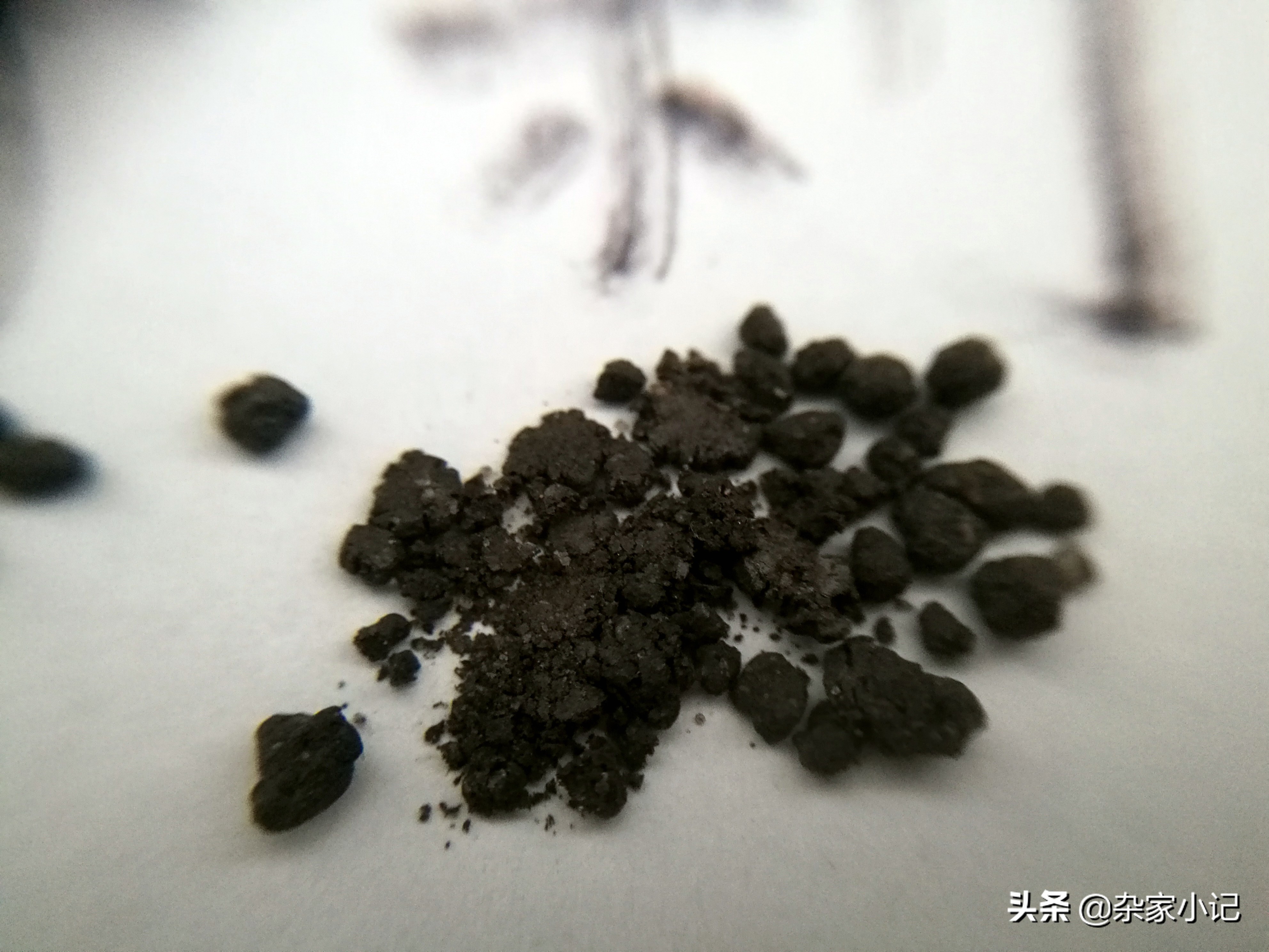 疯狂石头水草泥,疯狂的石头水草泥口碑怎样