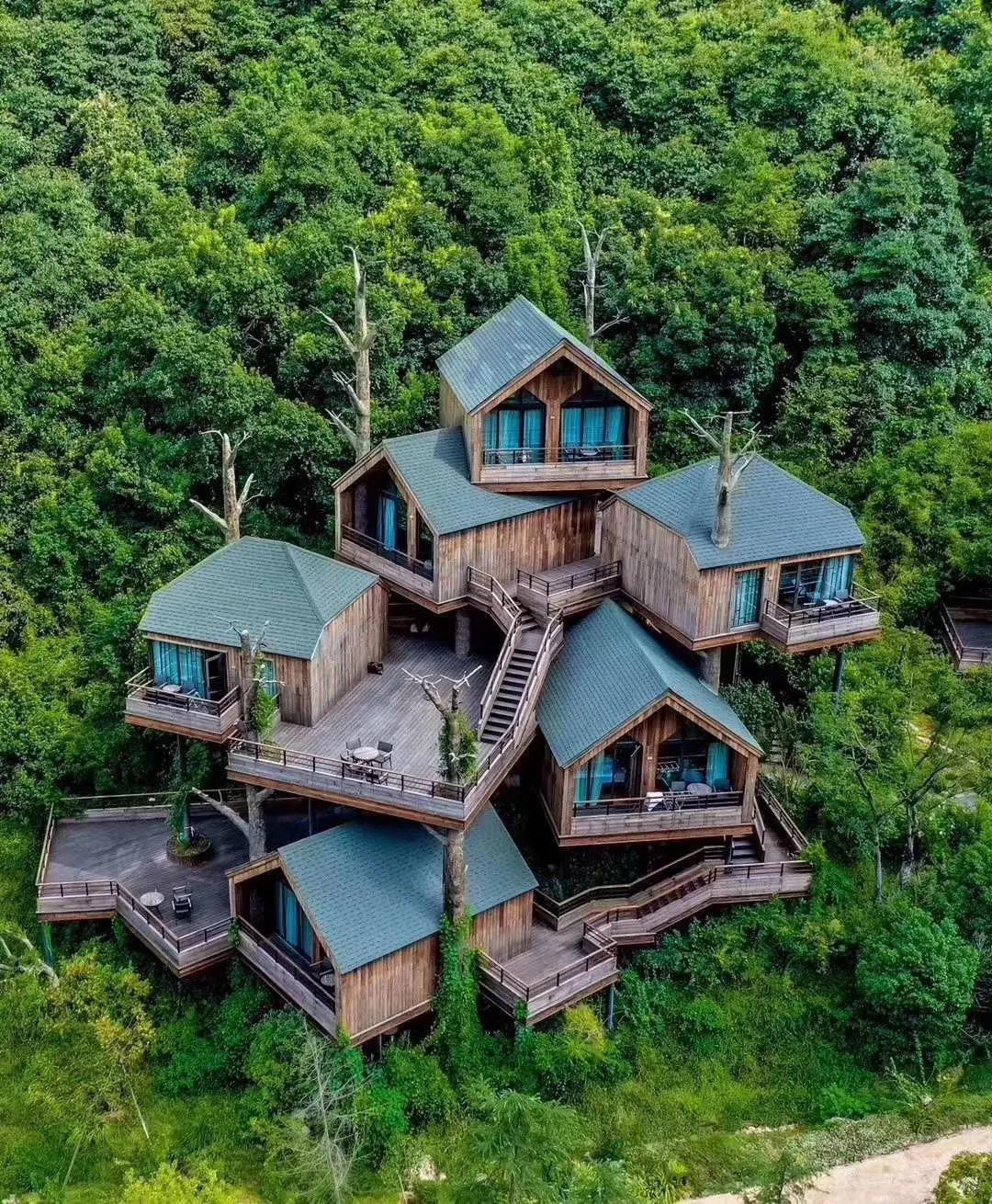 angelababy来呼市,angelababy溜娃