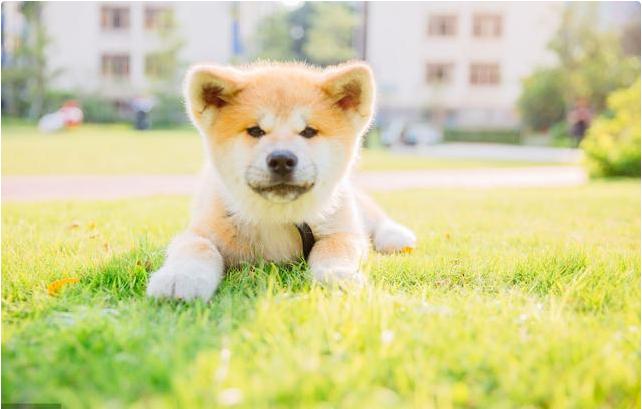 美工做了一年能达到什么水平,零基础学ps美工多久可以学会