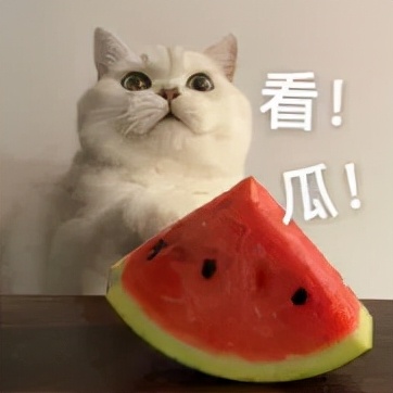 大曲线起诉,大曲线官司