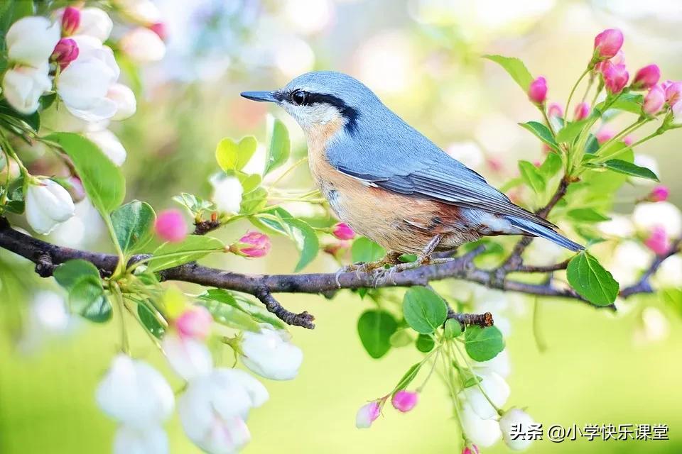 小学作文雪中即景,小学生优秀作文赏析雨中即景