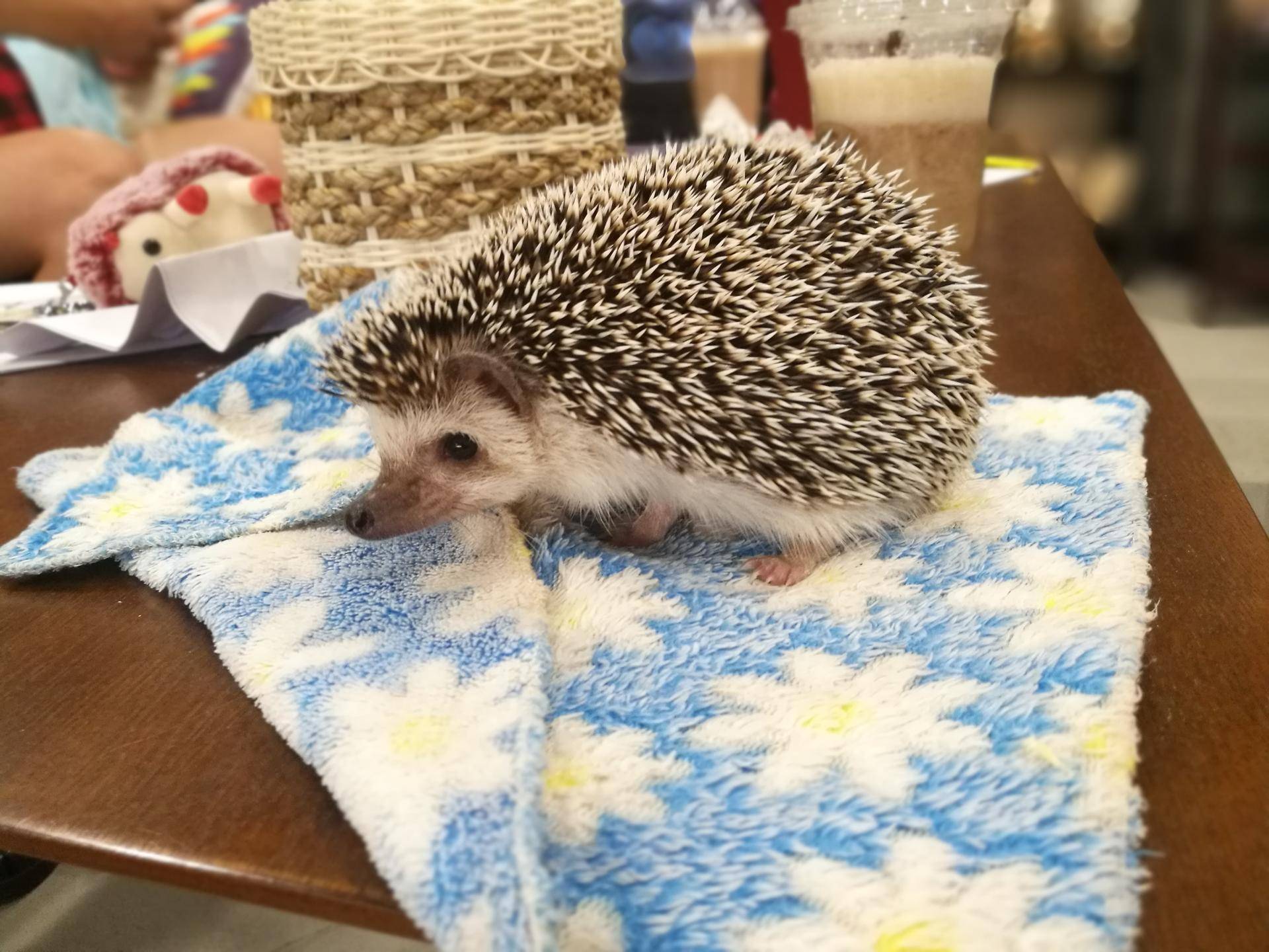 泰国游玩需要注意什么,泰国曼谷五月份游玩