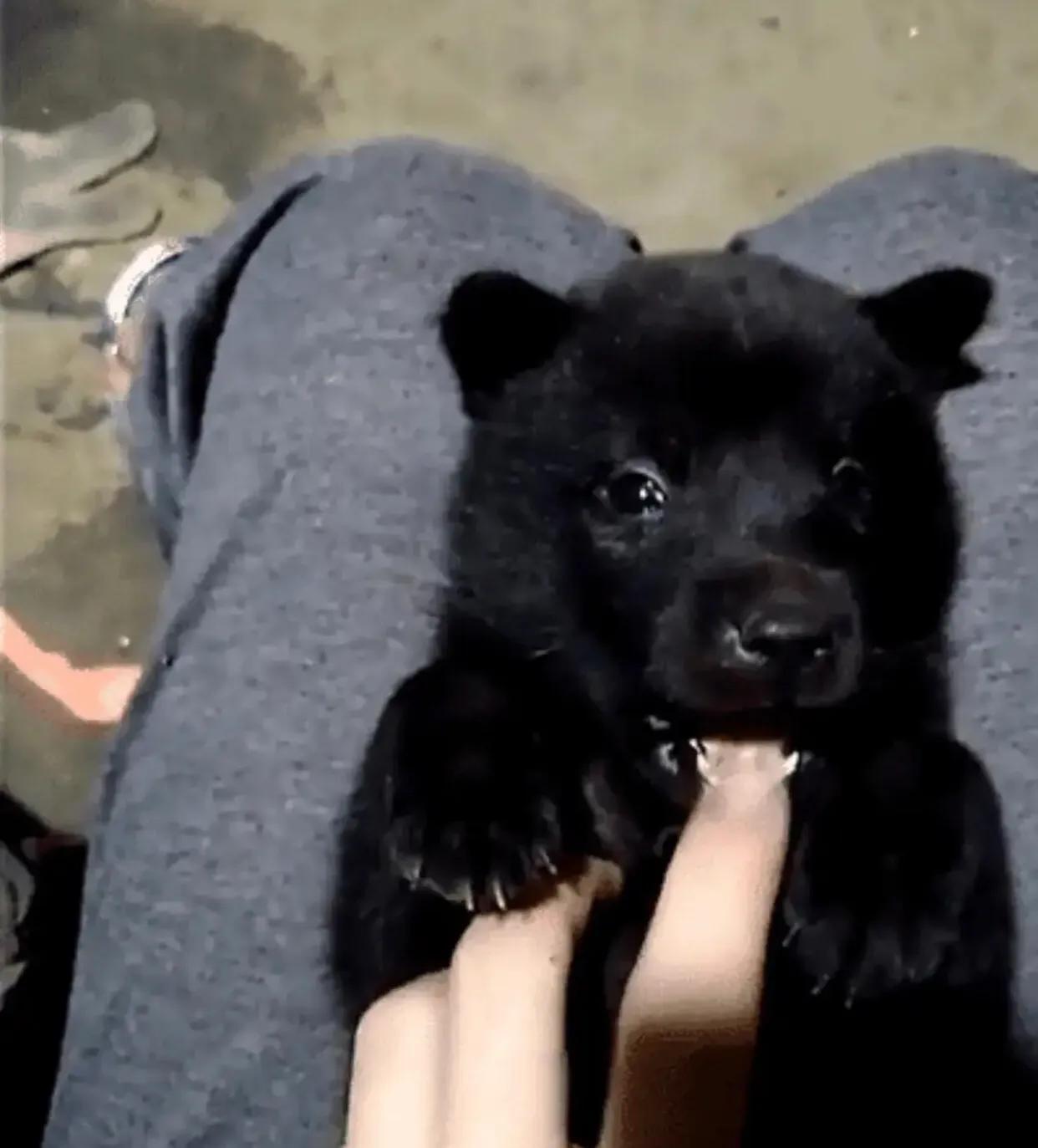 刚租的房子,打扫时发现的前租客留下的东西,要告诉房东吗?