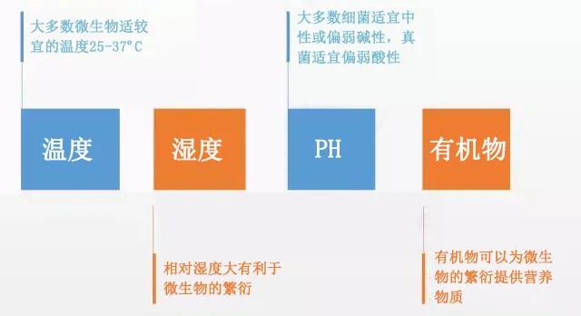 淄博化工城创始人浦彤谈：乳胶漆腐败霉变的原因及防治方法