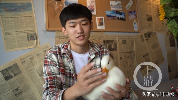 每只一万元！帅小伙开了一家“鸭馆”，只能撸不能吃