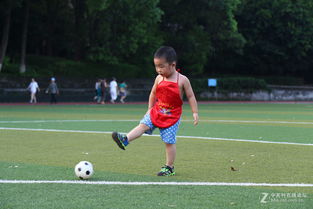 国脚中超踢不上球,足球踢得不好还能学啥