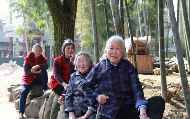 2021年是辛丑年,农村老话:“疾病稍,六畜瘴”是什么意思?