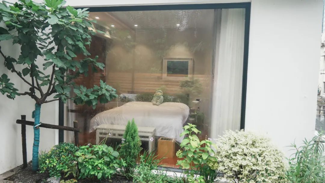 住在上海闹市400平的房子里，花开不败，开窗见池塘，太羡慕了