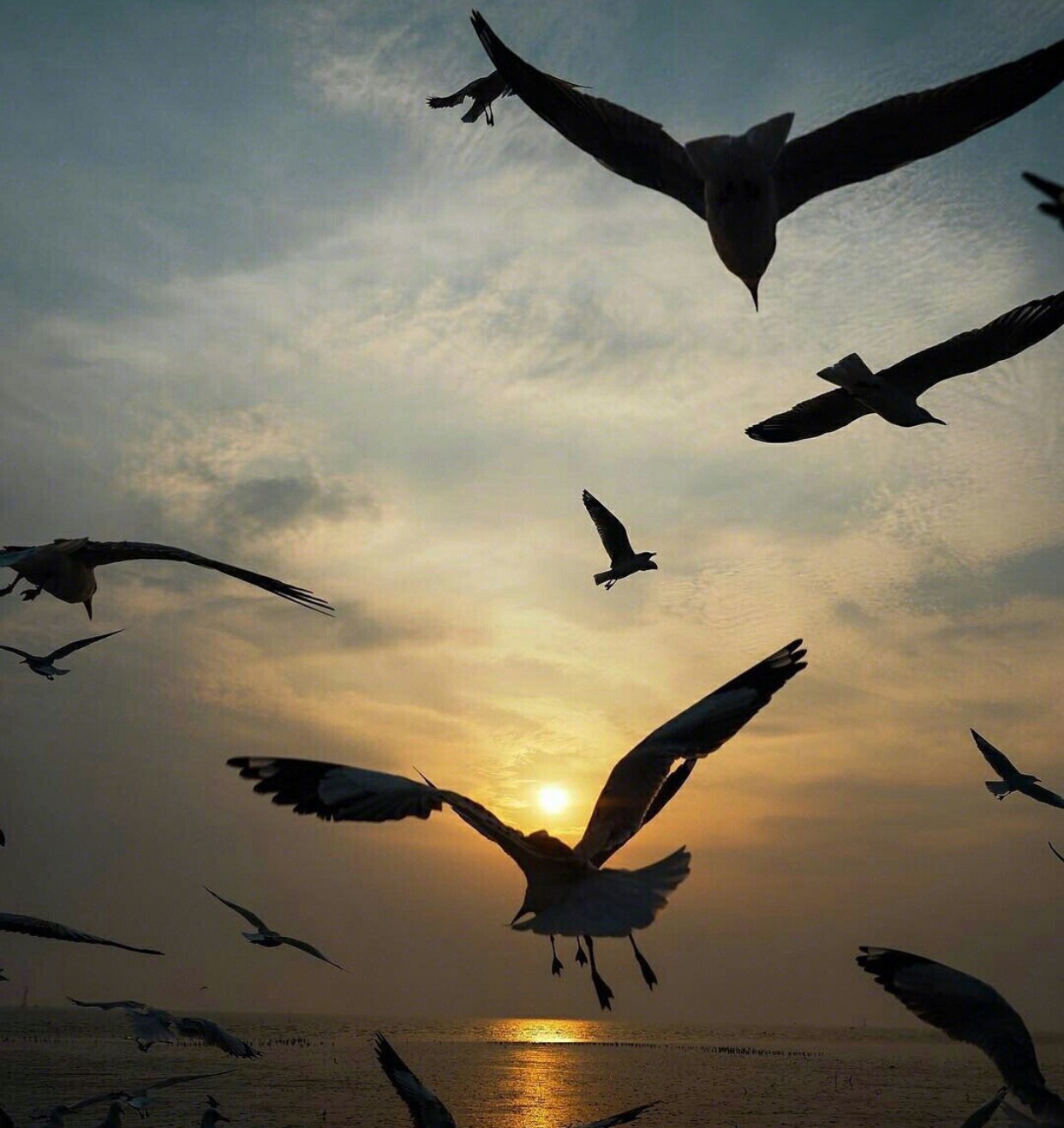 最好的时光遇见你全集,最好的时光泰剧版