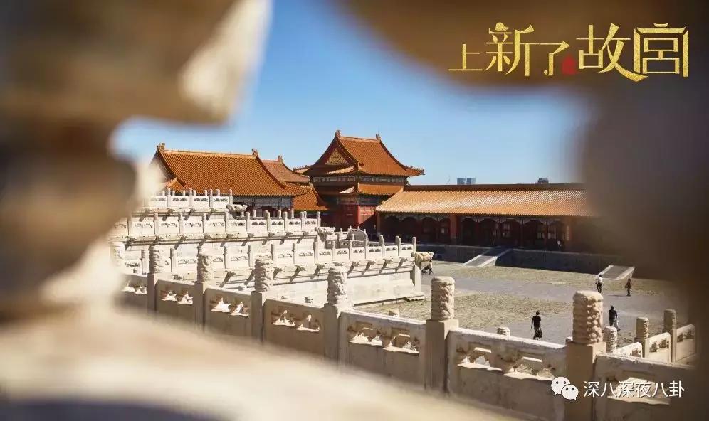 最新神仙综艺节目,2019高分冷门的良心综艺安利