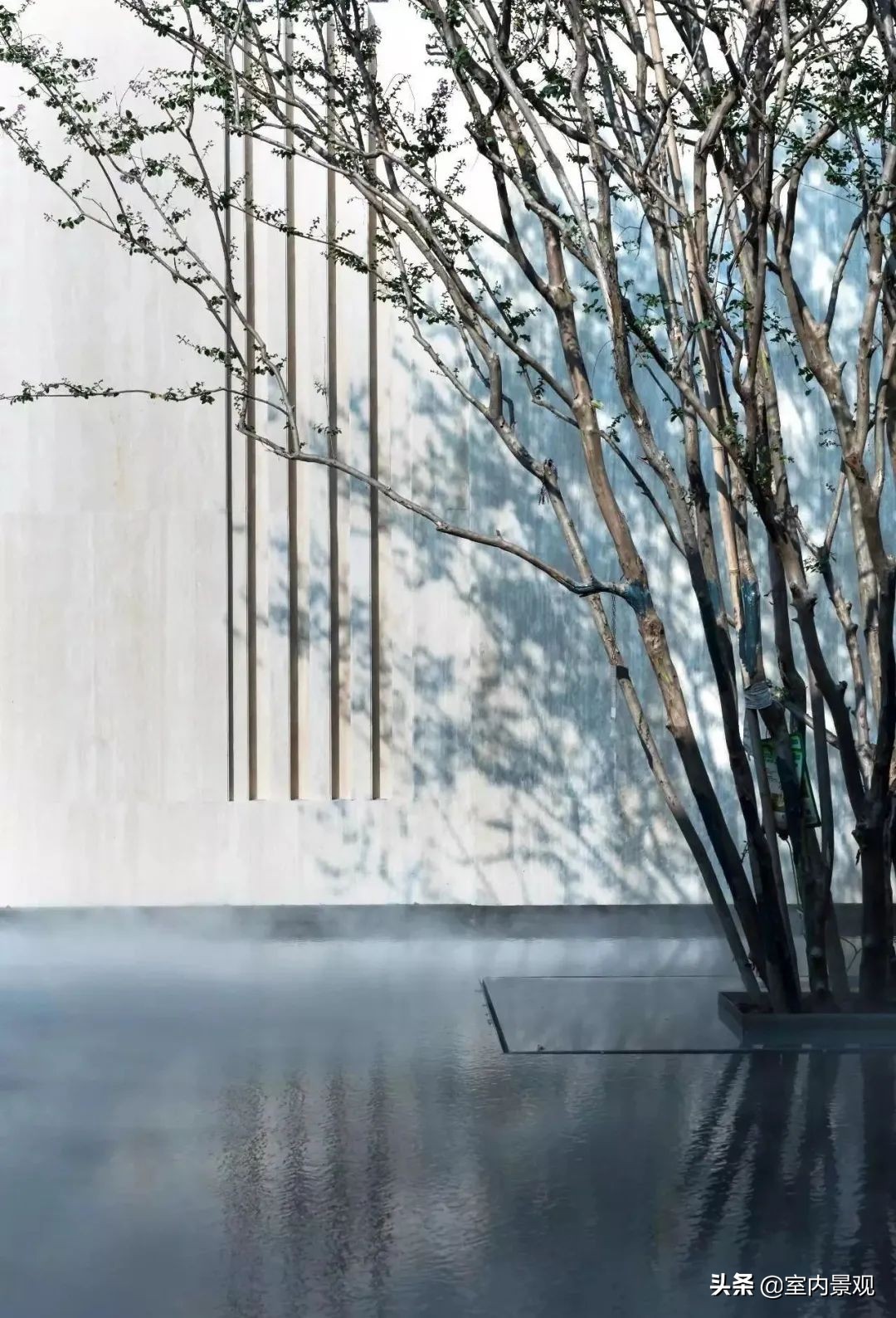 小小庭院美到极致,富有禅意的中国式庭院