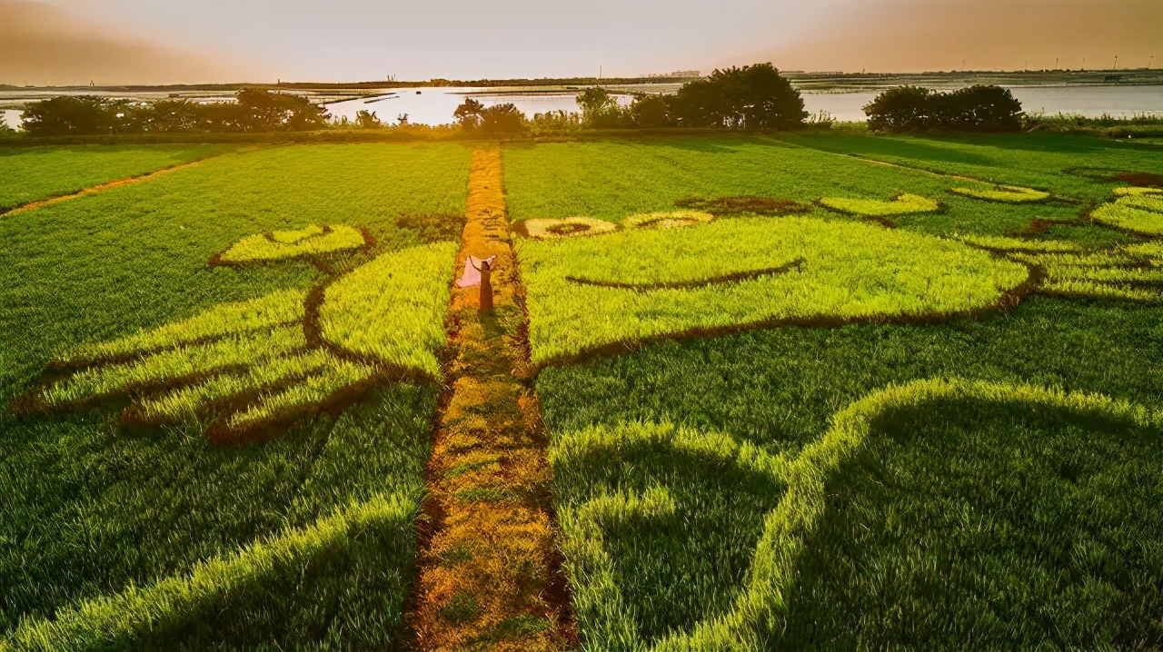 迎春路附近民宿,上海周边民宿过年