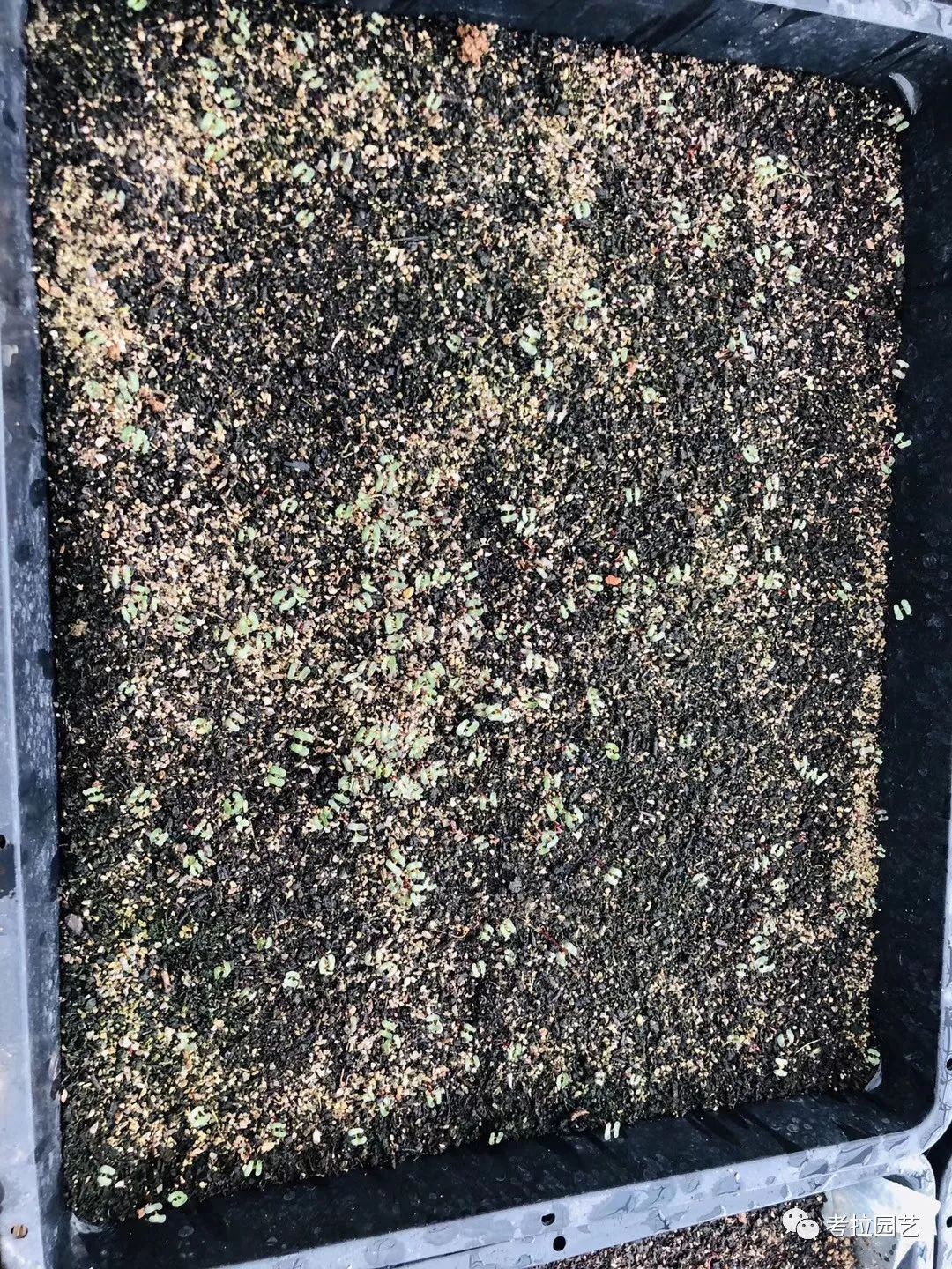 大地的恩赐图片,大地的馈赠是大天域吗