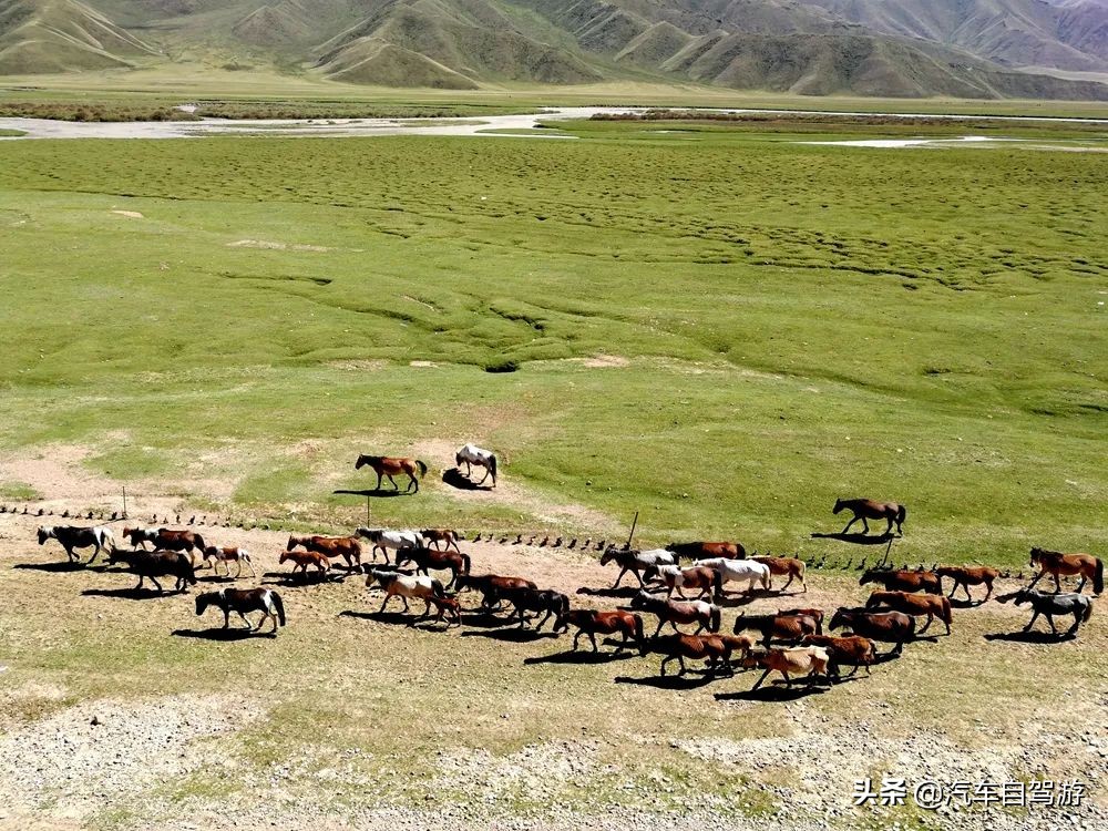 7月份独库公路自驾游视频完整版,7天自驾独库公路