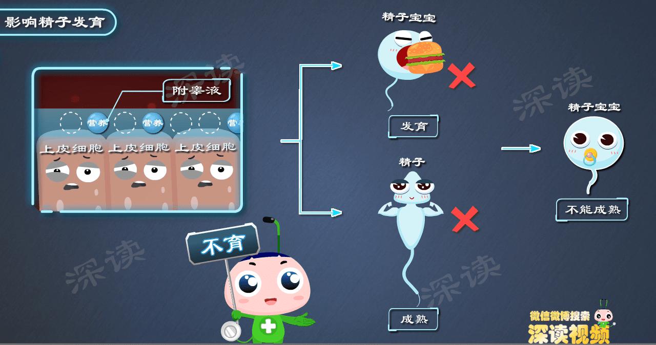 为啥会得附睾炎,附睾炎什么症状说明已经影响生育