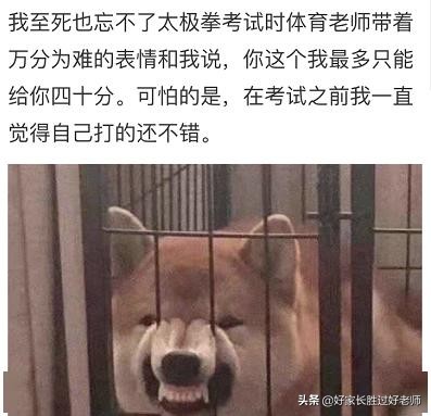 中国大学生为了太极拳考试，已经走火入魔了