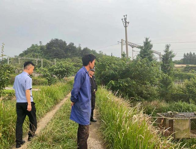 狗没办狗证抓走能罚多少钱,狗没有狗证被警察抓到会怎么处罚