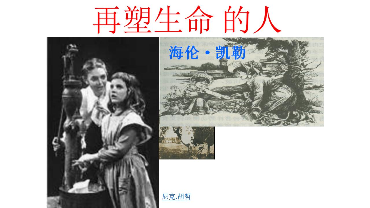 七年级上册增强生命的韧性板书,再塑生命的人板书设计图