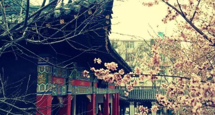 80张图，80个地方，总结哏儿都那些可以多次打卡的圣地~