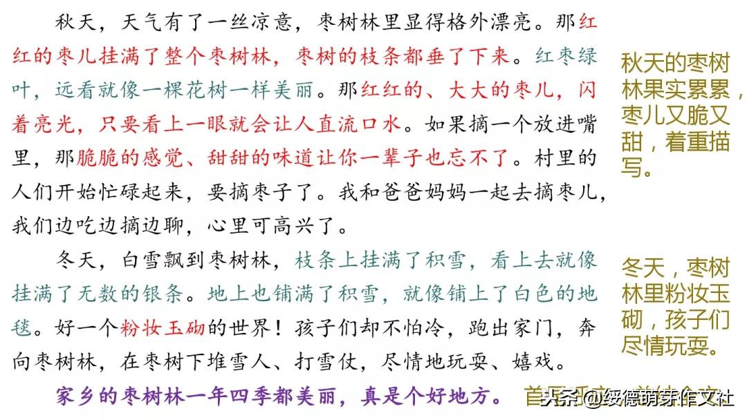 三年级上册语文这儿真美作文200字,三年级上册语文习作这儿真美