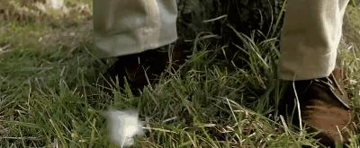 人生必看60部震撼人心的电影,人生必看的100部电影排行榜豆瓣