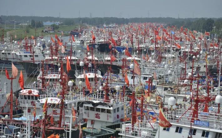 连云港连海海鲜推荐,开海海鲜连云港