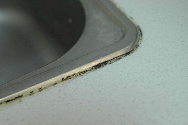 玻璃胶12度防霉,防霉发黑的玻璃胶