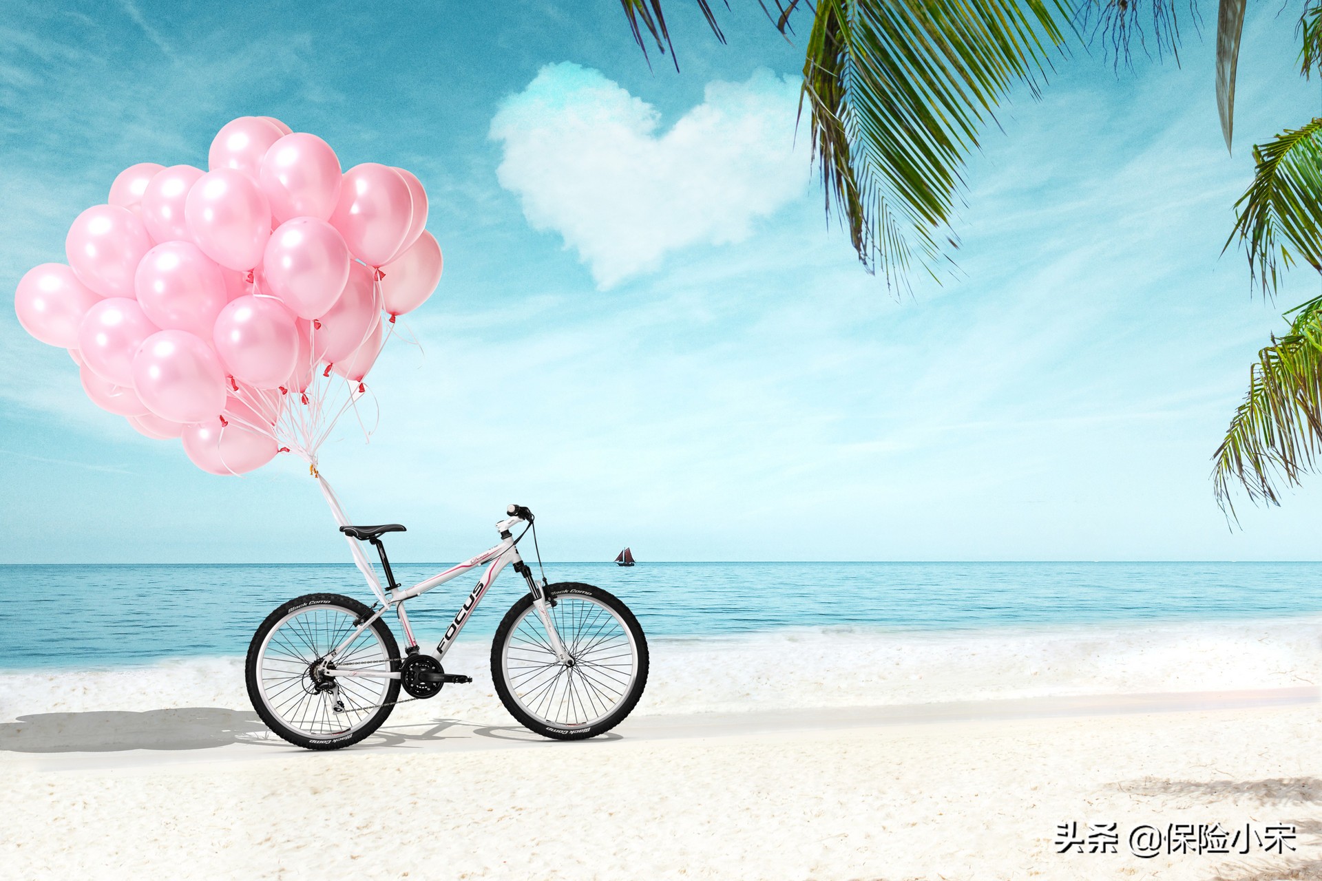 众筹险骗局,众筹骗局曝光