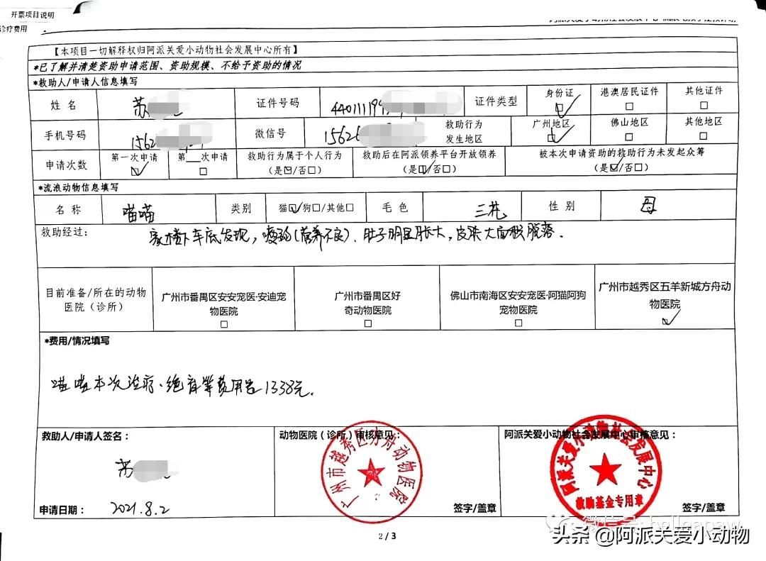 阿派志愿者救助一只流浪猫,阿派救助流浪猫