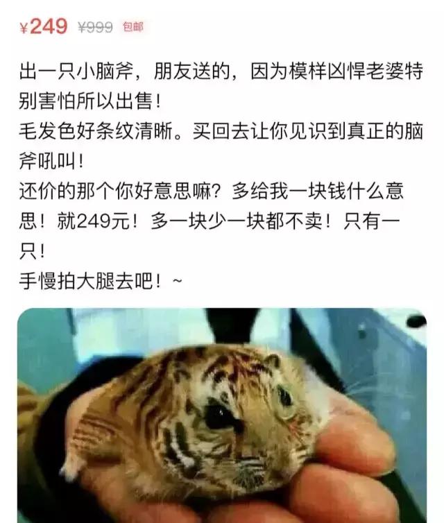 老公偷偷在网站上做这种交易，看完又气又好笑