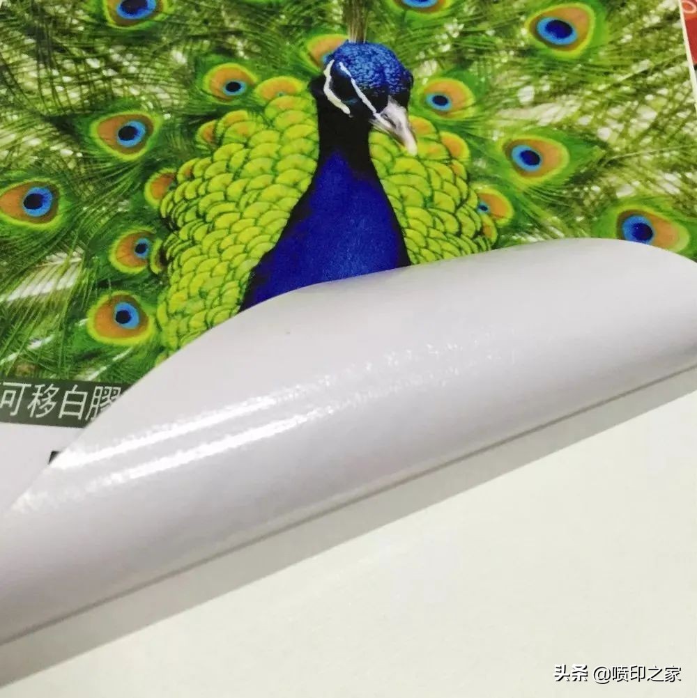 短期展示、中期展示、长期展示，该选择哪种车贴类型？