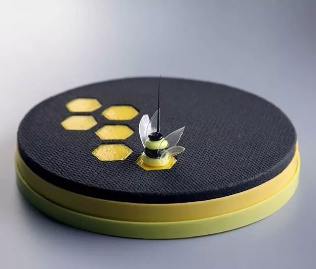 蜂蜜挞——一只小蜜轰,灰到发丛中