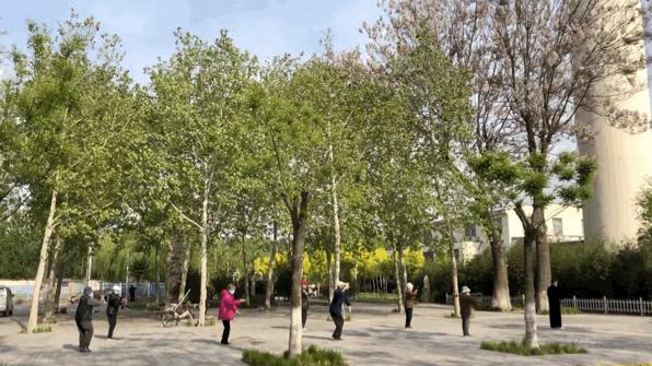 五个月未见面的聊城大学，现在你怎么样了？