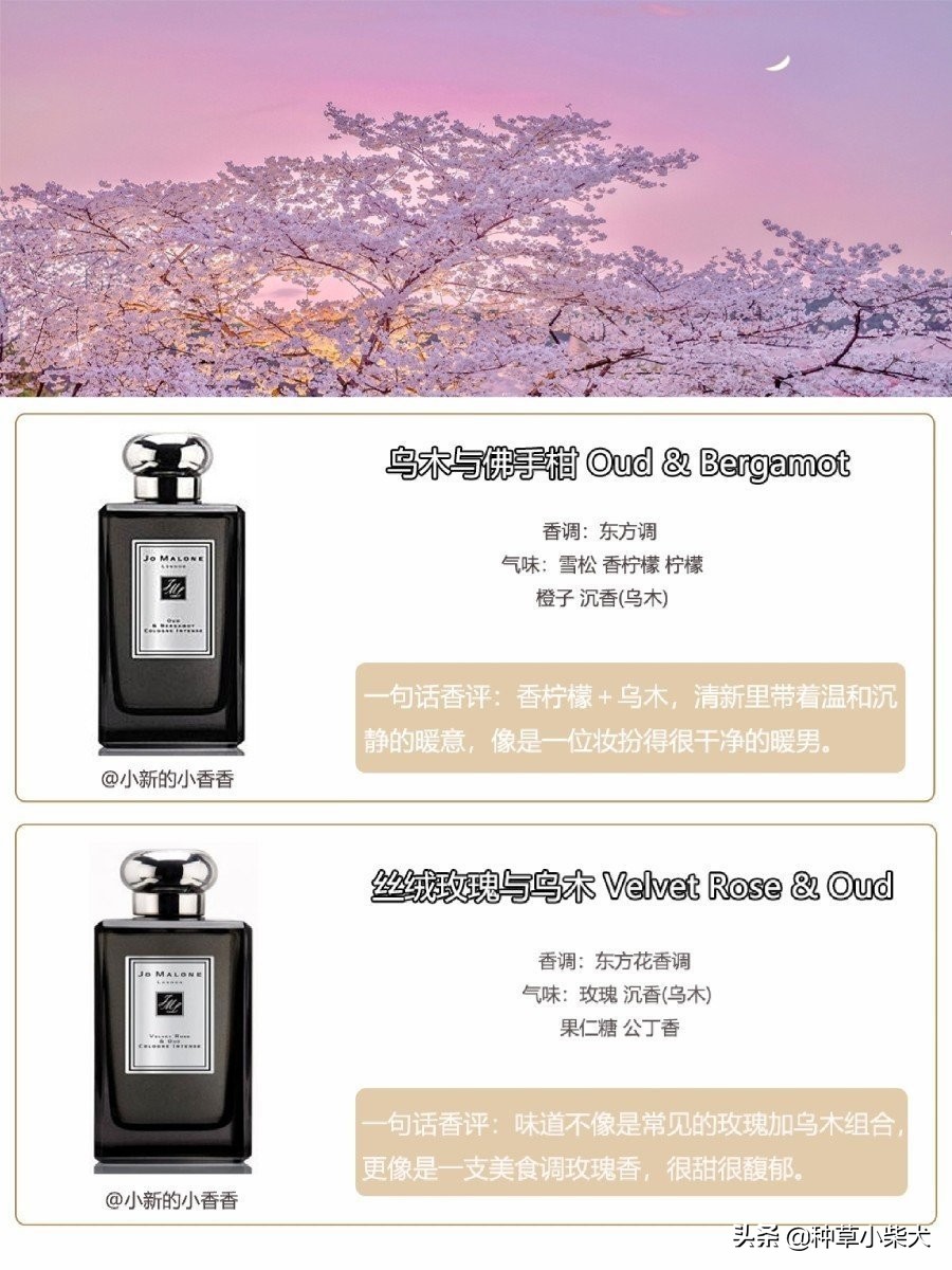 祖玛珑馥郁系列测评,祖玛珑香水评测